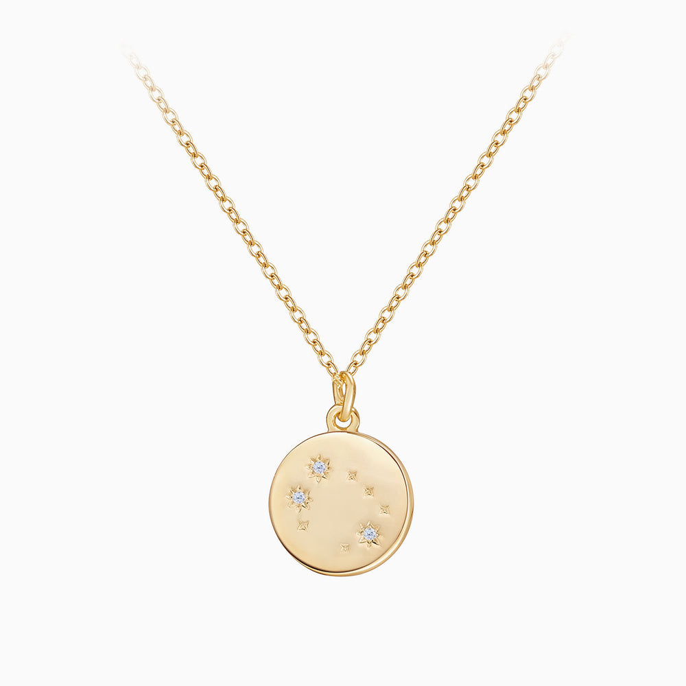 dainty Rose Gemini Zodiac Coin Necklace gift ideas